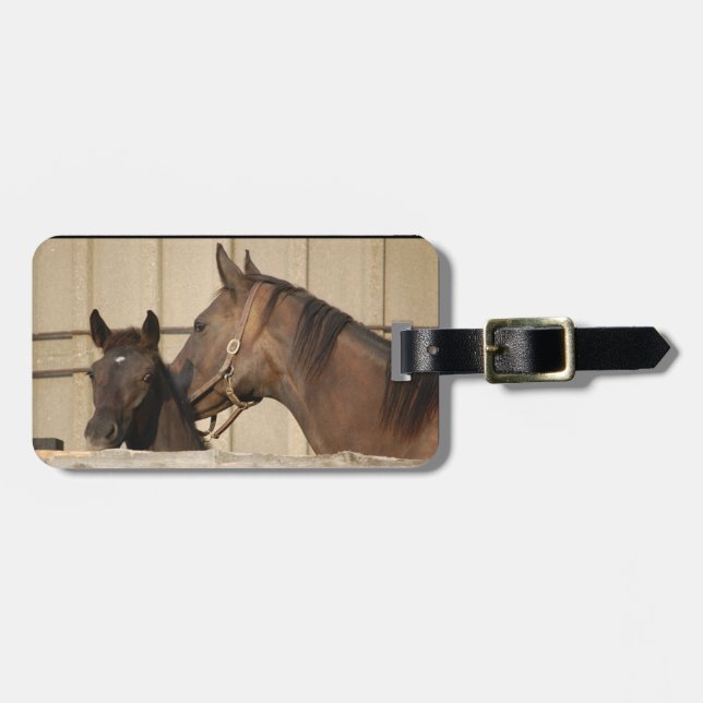 Horse och Pony Bagagebricka (Horisontell Framsida)