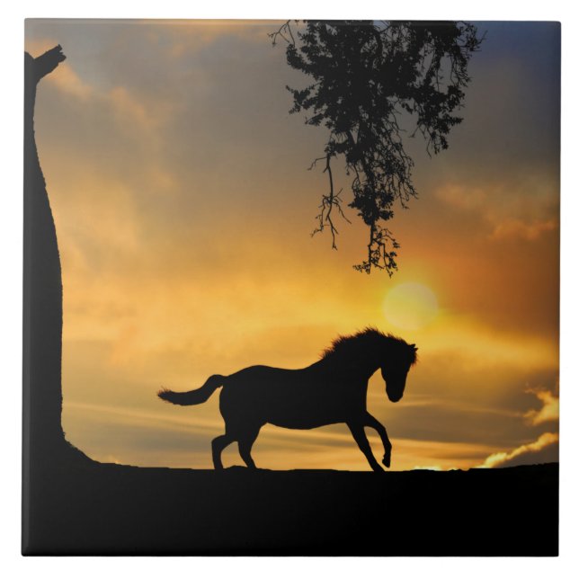 Horse och Southwest Sunset Beval Kakelplatta (Framsidan)