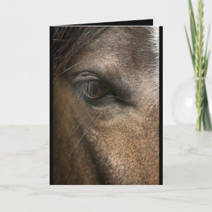 Horse Öga Blank Hälsning Card Kort