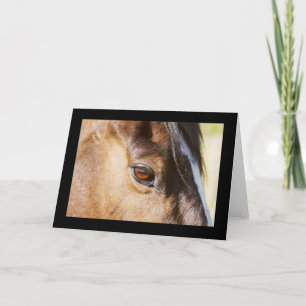 Horse Öga Card Kort