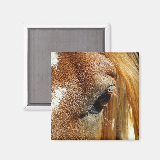 Horse Öga Closeup Magnet (Front/Back)