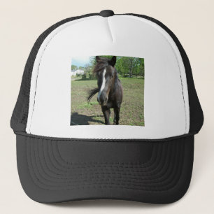Horse Paint Keps