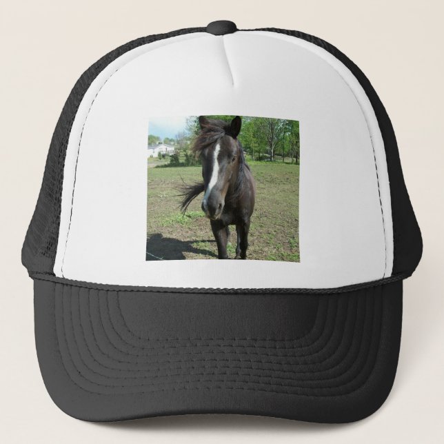 Horse Paint Keps (Framsida)
