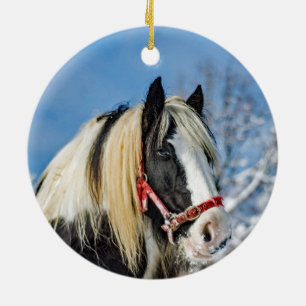 Horse Paint Snö Photo Julgransprydnad Keramik