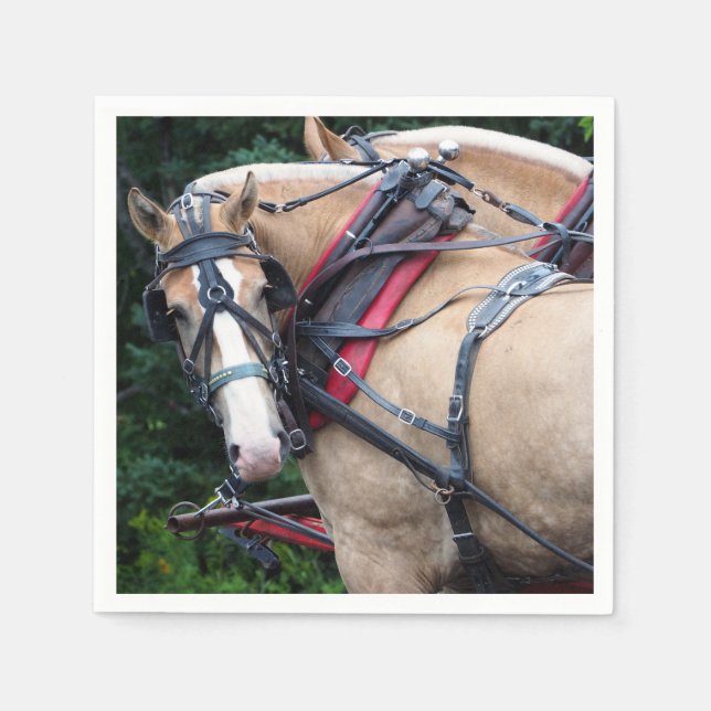 Horse Palomino Harness Pappersservett (Framsidan)