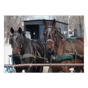 Horse Parking Lot Hälsningskort