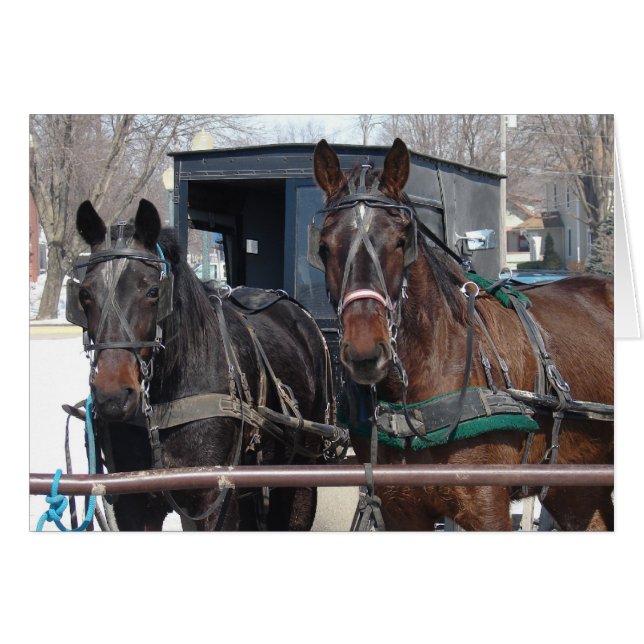 Horse Parking Lot Hälsningskort (Framsidan Horizontal)