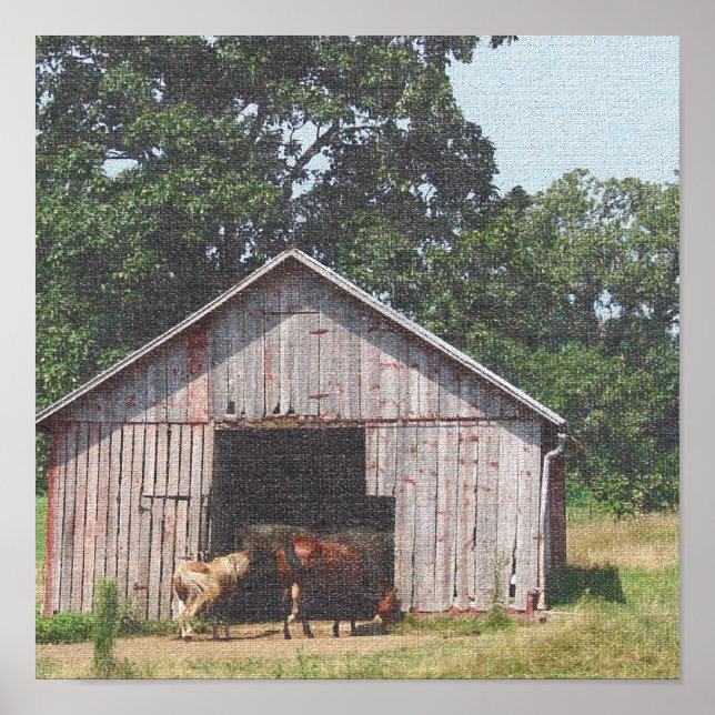 Horse Pasture 3 Poster (Framsidan)