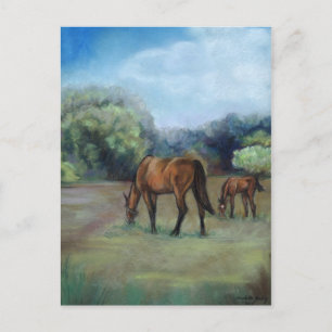 "Horse Pasture" Art-vykort Vykort