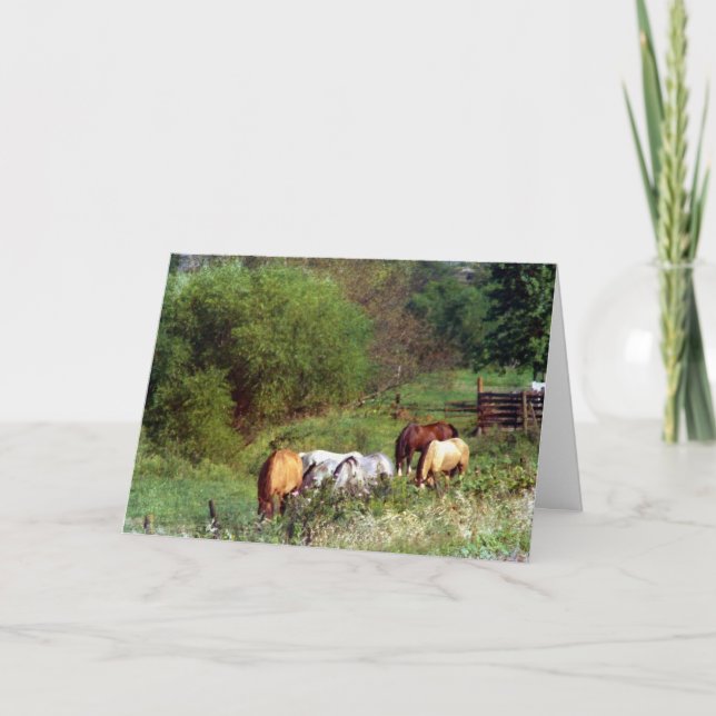 Horse Pasture Birthday Kort (Framsida)