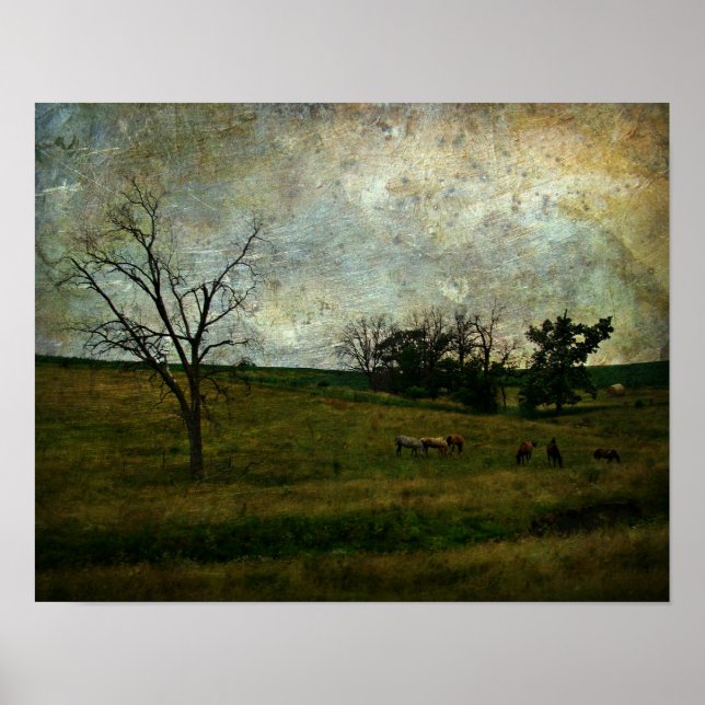 Horse Pasture Grunge Poster (Framsidan)