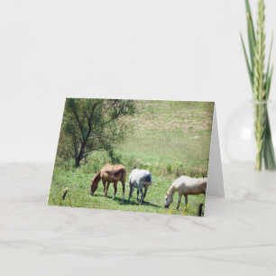 Horse Pasture Kort