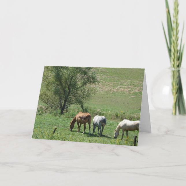 Horse Pasture Kort (Framsida)