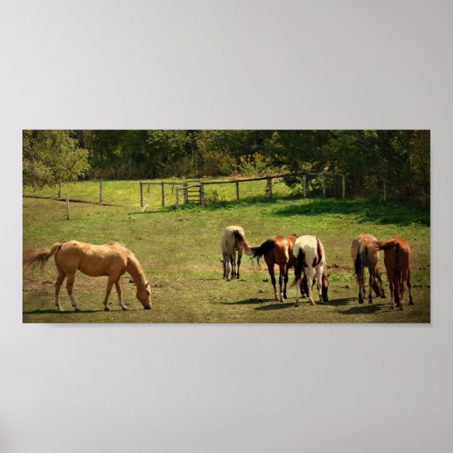 Horse Pasture Poster (Framsidan)