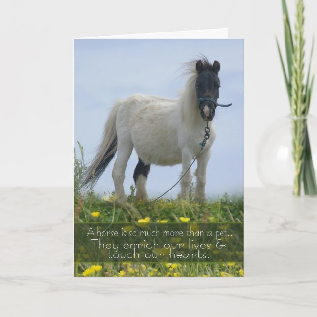 Horse Pet Sympathy Card - Equine Sympathy - Pit Po Kort (Framsida)