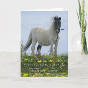 Horse Pet Sympathy Card - Equine Sympathy - Pit Po Kort