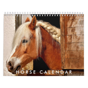 Horse Photo Calendar 2026 Bevalt väggkalender Kalender