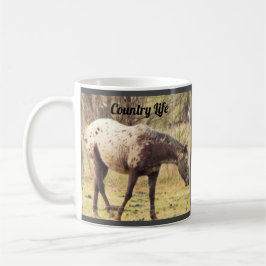 Horse Photo Mugg