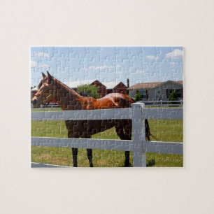 Horse Photo Pussel