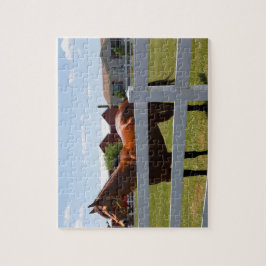 Horse Photo Pussel