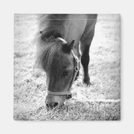 Horse Photo Timless Keepsaké Black White Pet Kärle Magnet