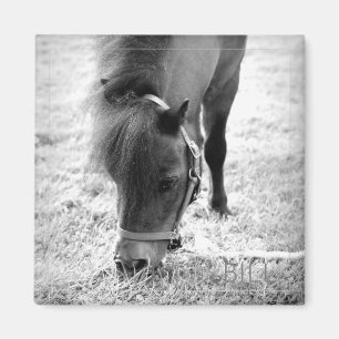 Horse Photo Timless Keepsaké Black White Pet Kärle Magnet