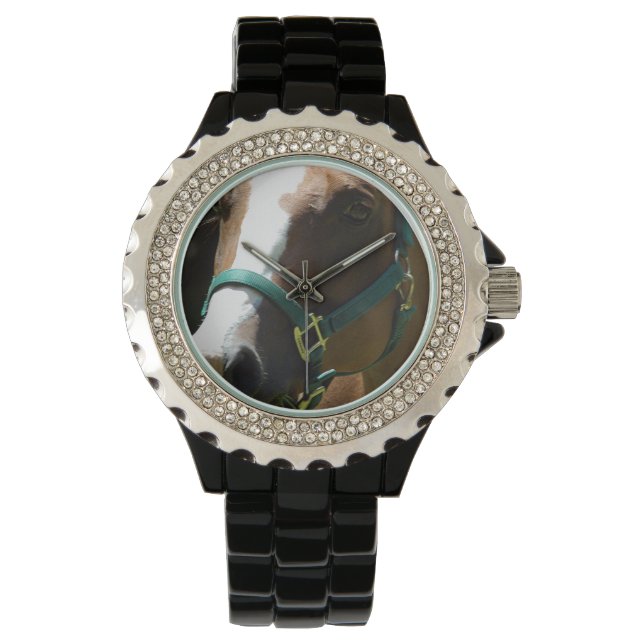 Horse Photography on Womens Watch Armbandsur (Framsida)
