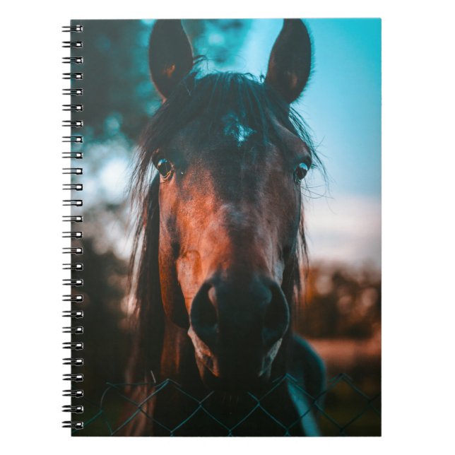 HORSE PORTRÄTT ANTECKNINGSBOK (Framsidan)