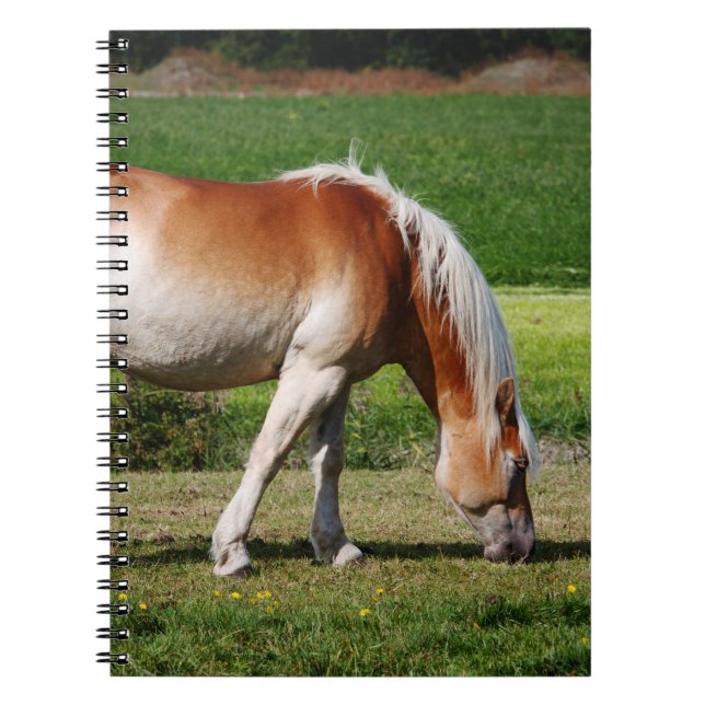 Horse porträtt anteckningsbok med spiral (Framsidan)