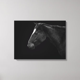 Horse porträtt canvastryck