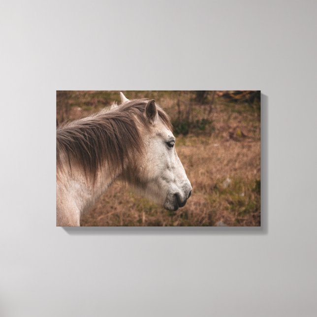 Horse porträtt canvastryck (Framsida)