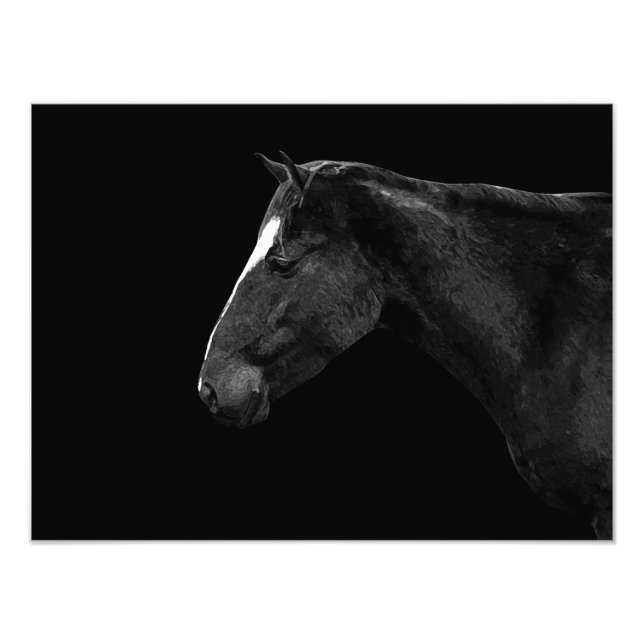 Horse porträtt fototryck (Framsidan)