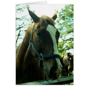 Horse Porträtt Hälsningskort