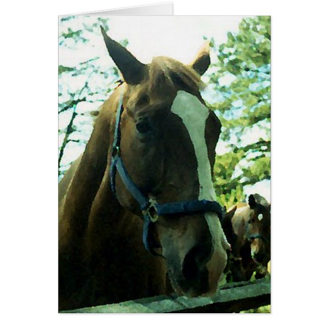 Horse Porträtt Hälsningskort (Framsidan)