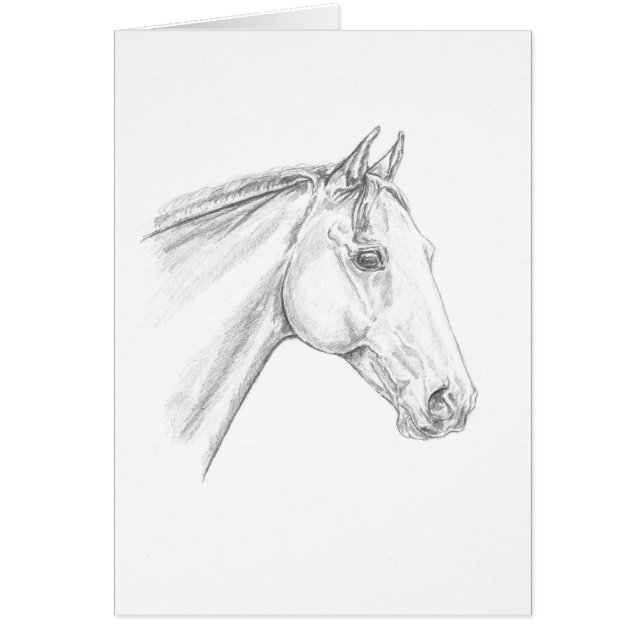 Horse Porträtt i Pencil Hälsningskort (Framsidan)
