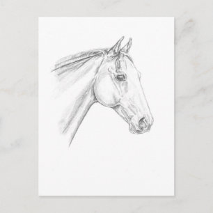 Horse Porträtt i Pencil Vykort
