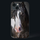 Horse Porträtt II<br><div class="desc">Djur</div>