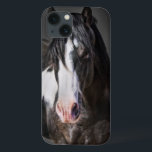 Horse Porträtt II<br><div class="desc">Djur</div>