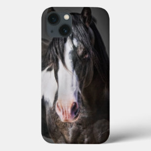 Horse Porträtt II
