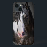 Horse Porträtt II<br><div class="desc">Djur</div>