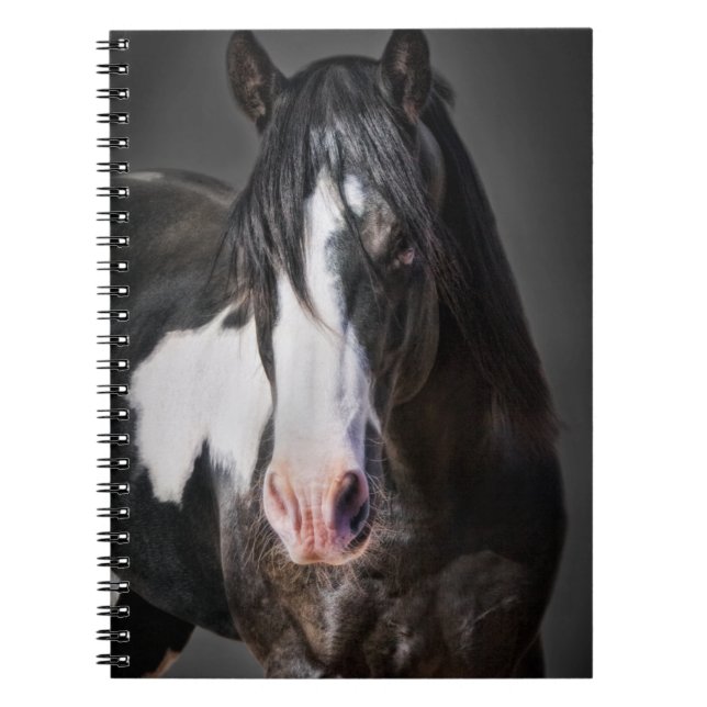 Horse Porträtt II Anteckningsbok Med Spiral (Framsidan)