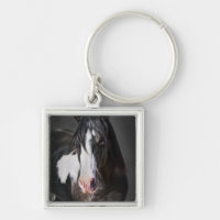 Horse Porträtt II