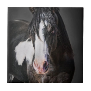 Horse Porträtt II Kakelplatta