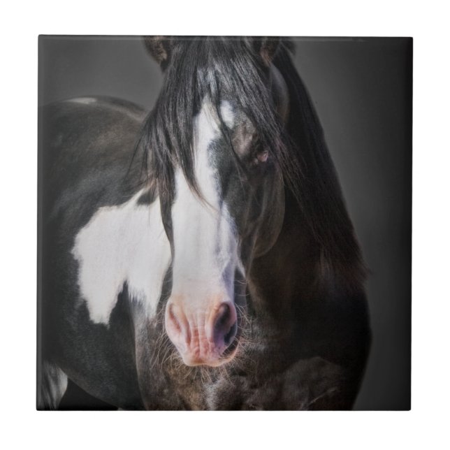 Horse Porträtt II Kakelplatta (Framsidan)