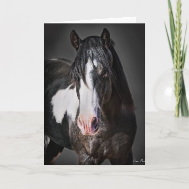 Horse Porträtt II Kort (Framsida)