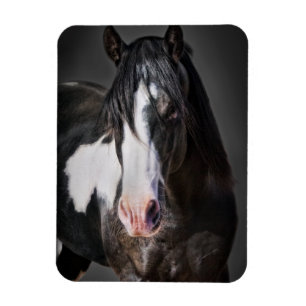 Horse Porträtt II Magnet