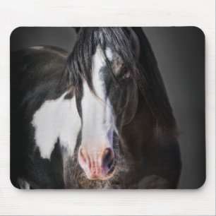 Horse Porträtt II Musmatta