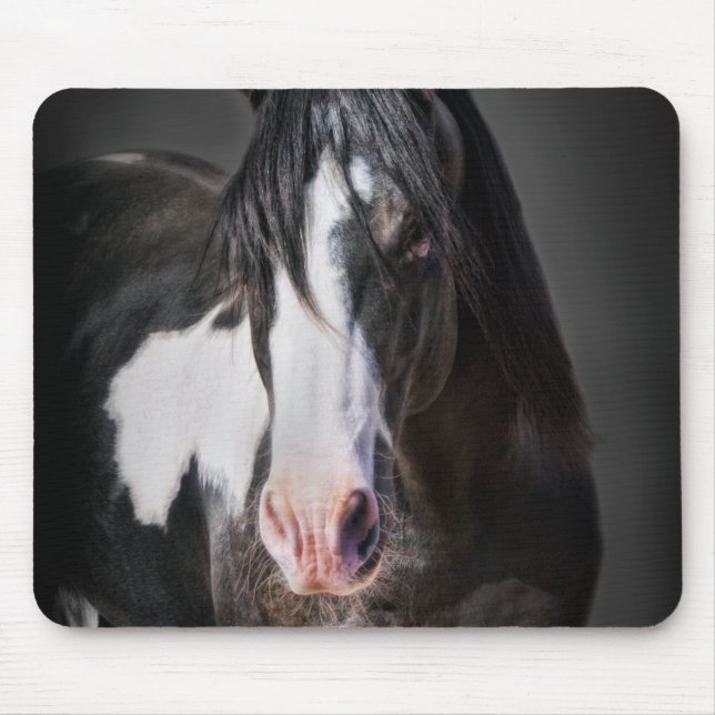 Horse Porträtt II Musmatta (Framsidan)