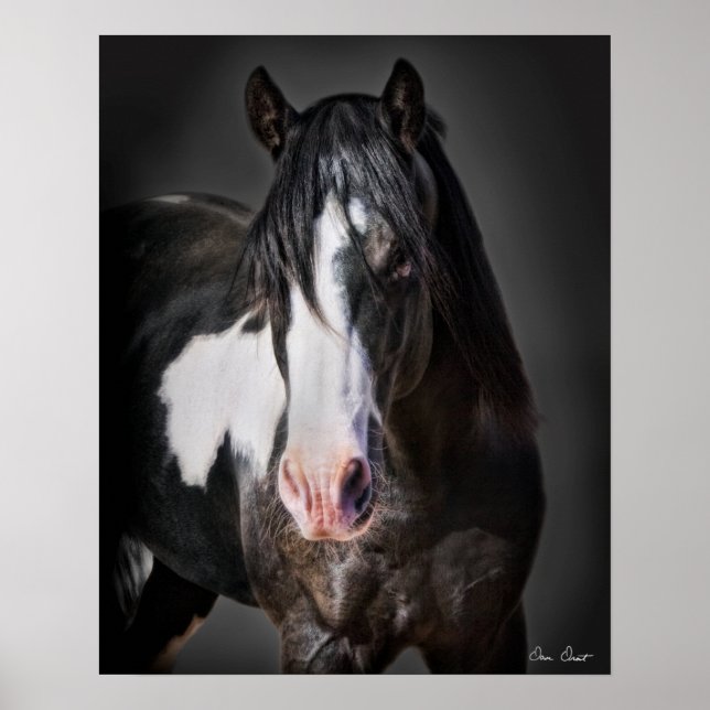 Horse Porträtt II Poster (Framsidan)