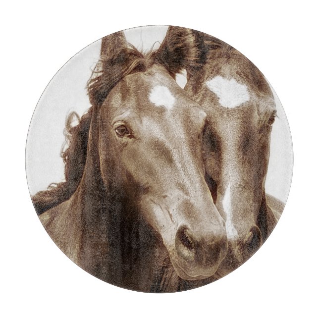 Horse Porträtt III (Framsidan)